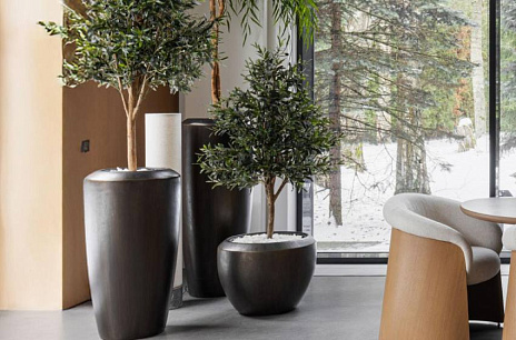 Визуальная иерархия растений в интерьере